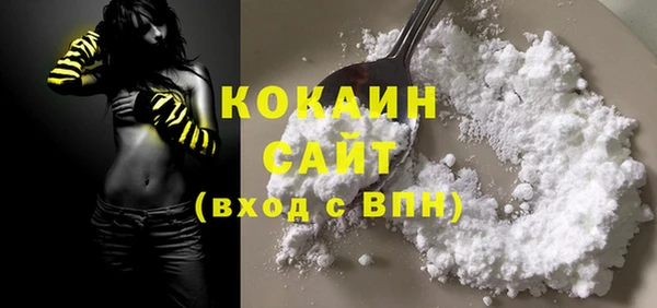 гашик Верея