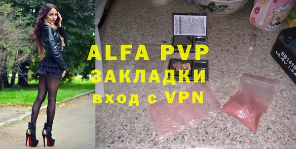 гашик Верея