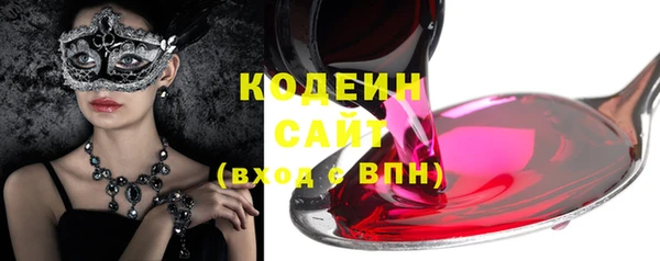 гашик Верея