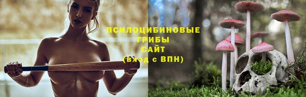 гашик Верея
