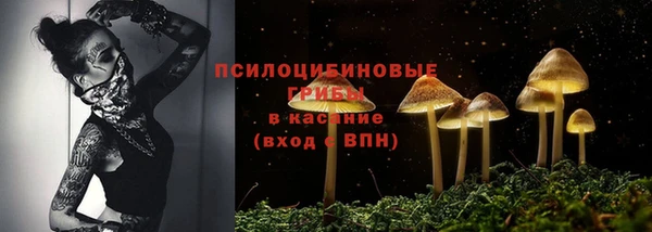 крисы Верхнеуральск