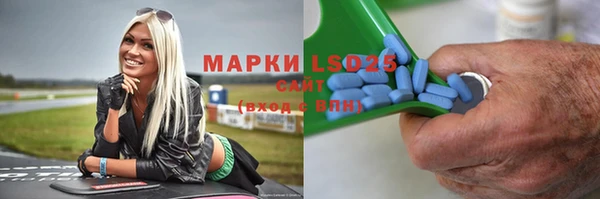 гашик Верея