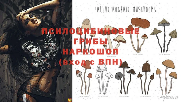 крисы Верхнеуральск