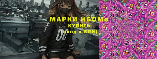 гашик Верея