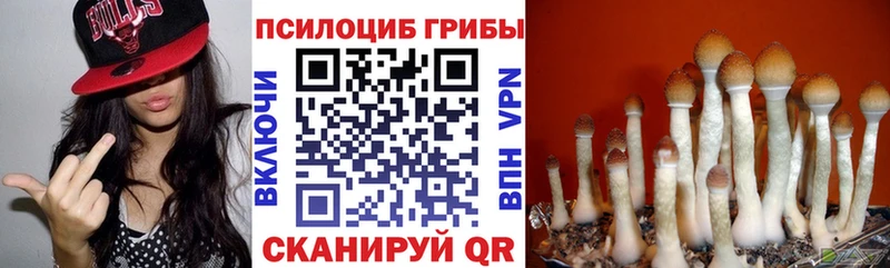 Купить где  Ревда  Галлюциногенные грибы Cubensis 